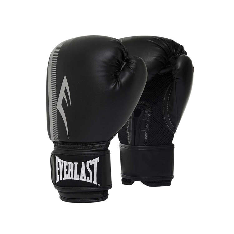 Everlast Pro Style Power Boxing Glove 16oz