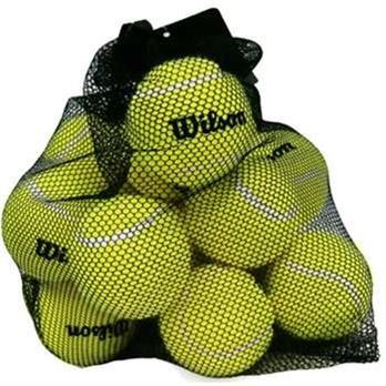 Wilson Bag 18 Pressureless Tennis Balls Sportsmans Warehouse