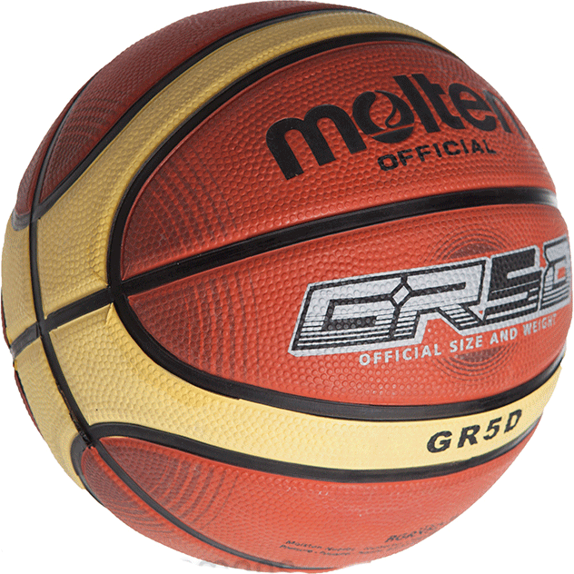Molten BGRX Series Basketball