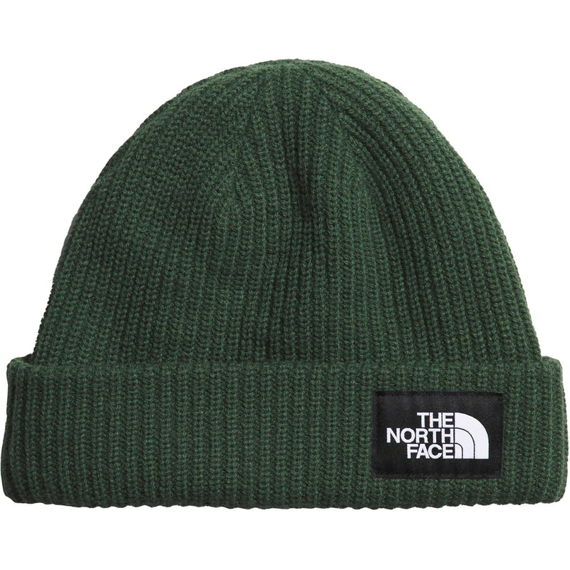 The North Face Salty Lined Beanie Pine Needle