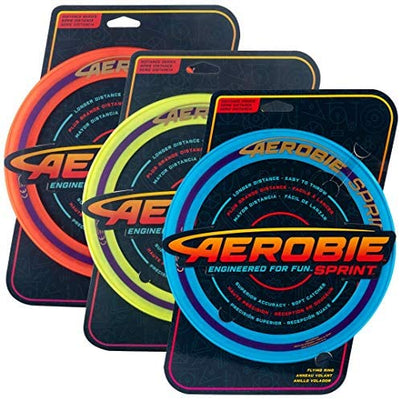 Aerobie 10 inch Frisbee