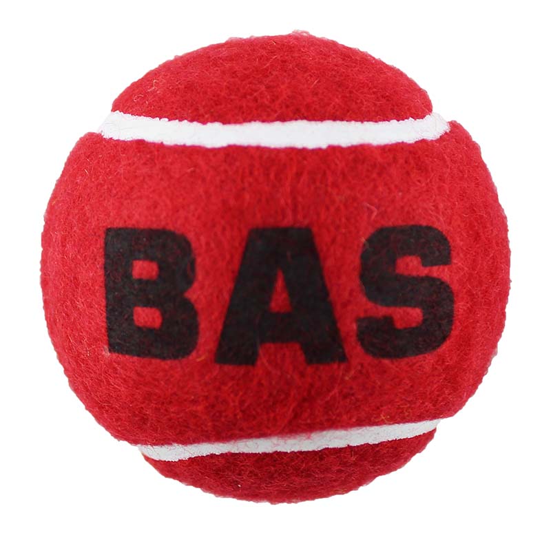 BAS Weighted Tennis Ball Cricket Trainer