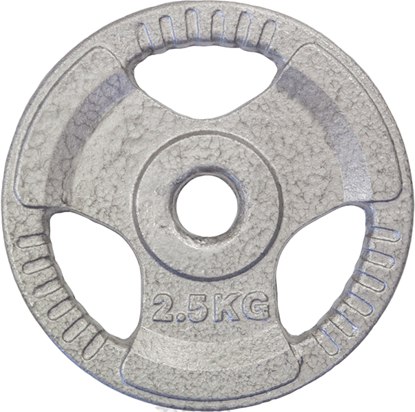 HCE Hammertone 2.5kg Weight Plate_PS-1025-CI